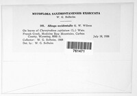 Image Associated With the Occurence